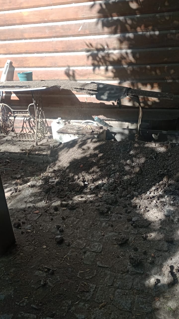 WhatsApp Image 2024-12-07 at 16.52.19.jpeg